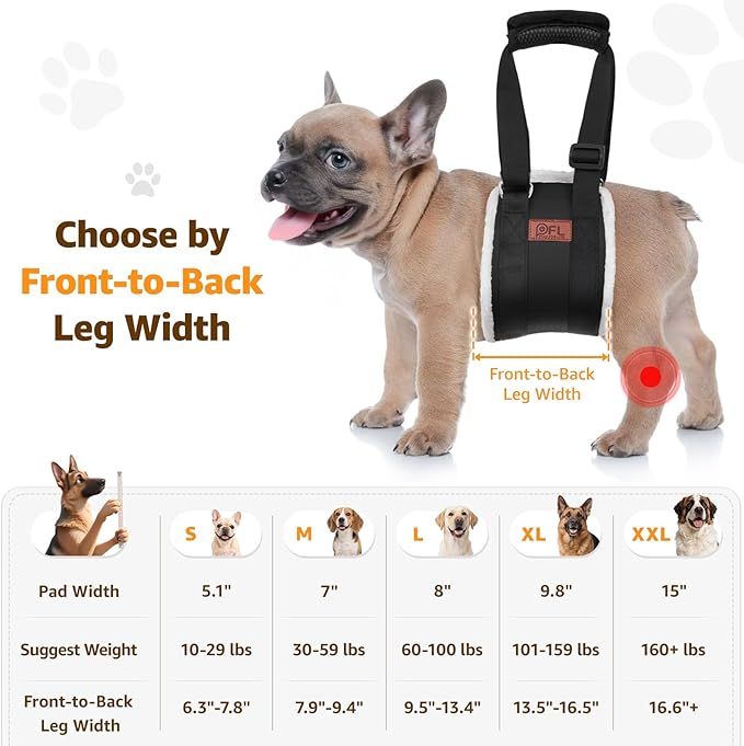 Adjustable Dog Lift Harness, Dog Sling for Small Dogs Lift Support and Rehab Harness for Weak Rear Legs, Soft Hind Leg Support Helps Senior, Injured, Disabled and After ACL Surgery Dogs(Black,Small)