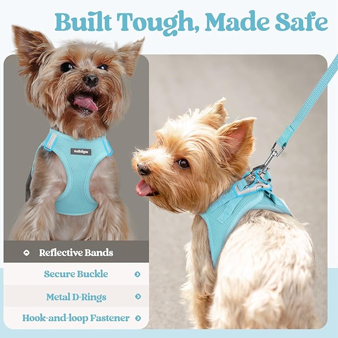 rabbitgoo Dog Harness Small Sized and Leash Set, Step in Soft Light Puppy Vest, Breathable Mesh Pet Harness, Reflective for Safe Easy Walking, Mint Blue XS