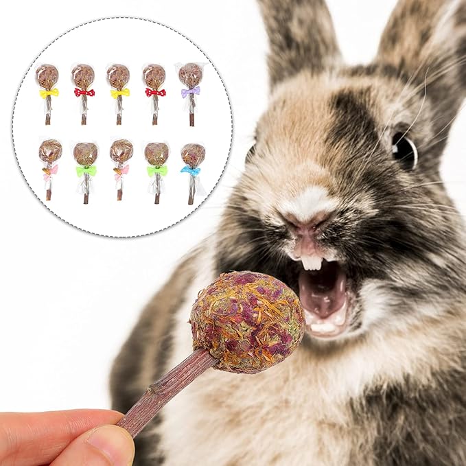 balacoo Rabbit Toys Teething Toys 10pcs Rabbit Chewing Stick Bunny Lollipops Teeth Care Toy Pet Teeth Bite Rod Treats Hamster Guinea Pig Herbage Sticks (Random Color) Bunny