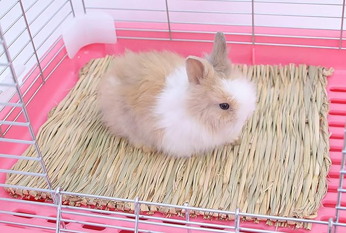 Yesland 12 Pack Woven Rabbit Mat - Grass Mat & Bunny Bedding Nest - Natural Chew Toy Bed for Guinea Pig Chinchilla Squirrel Hamster Cat Dog and Small Animal