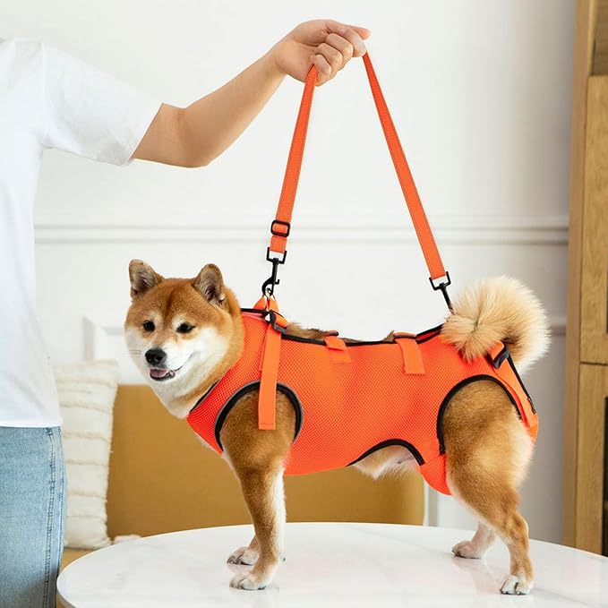 Adjustable Dog Harness for Elderly Pet with Padded Belt and Breathable Design Disabled Lift Slings Rehabilitation Harness