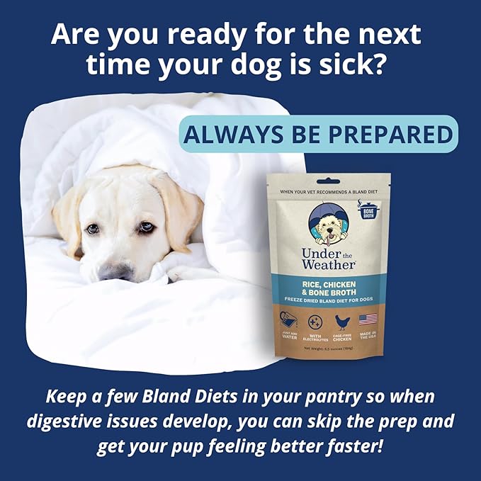 Under the Weather Easy to Digest Bland Diet for Sick Dogs - Always Be Ready - Contains Electrolytes - Gluten Free, All Natural, Freeze Dried 100% Human Grade Meats - 6 Pack Chicken, Rice & Bone Broth