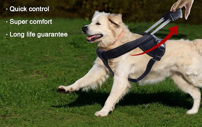 Heavy Duty Dog Harness for Large Dogs, No Pull Dog Vest Harness with Handle Extensible, Reflective Stitching (XXL)
