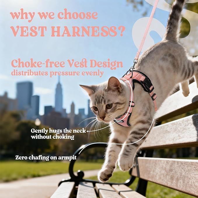 rabbitgoo Cat Harness and Leash for Walking, Escape Proof Soft Adjustable Vest Harnesses for Cats, Easy Control Breathable Reflective Strips Jacket, Light Salmon Pink, S