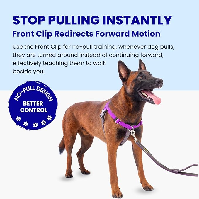 Freedom No Pull Dog Harness for Large Dogs, Front Clip, Easy Walker, Anti Pull with Two Stainless D-Rings, Comfortable, Sewn-in Instructions Tags for Easy Use (Purple, XXL)