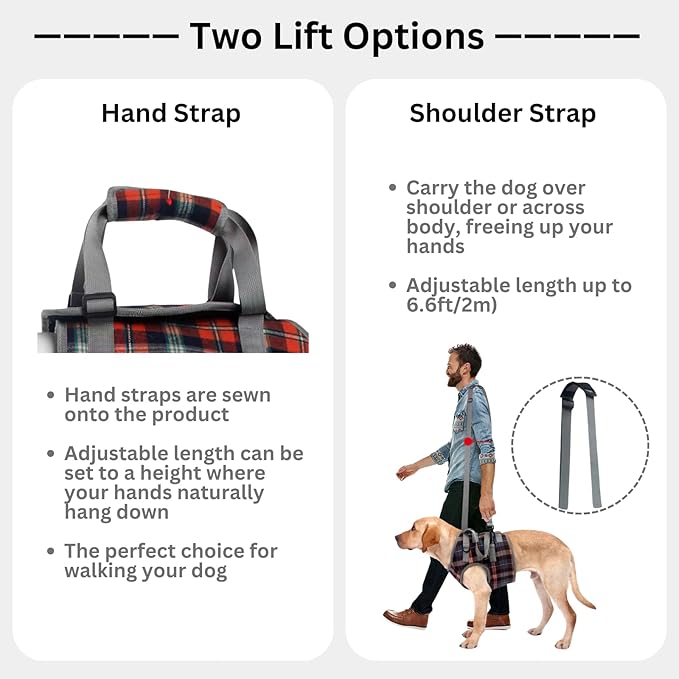 Dog Front/Hind Legs Lift Sling, Mobility Aid Assistance Hip/Joint Support Recovery for Senior Disabled Injured Dog Harness (Blue frontleg,Large)