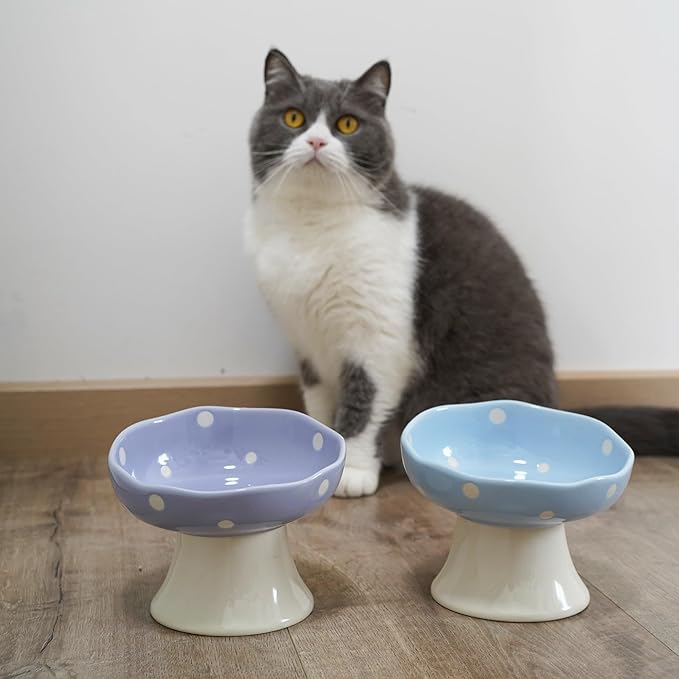 Ceramic Elevated Cat Bowls, Tilted Raised Pet Dish for Indoor Cats, Whisker Friendly Pet Food and Water Bowl for Kitten, Cat, Puppies, Dishwasher Safe (Purple)