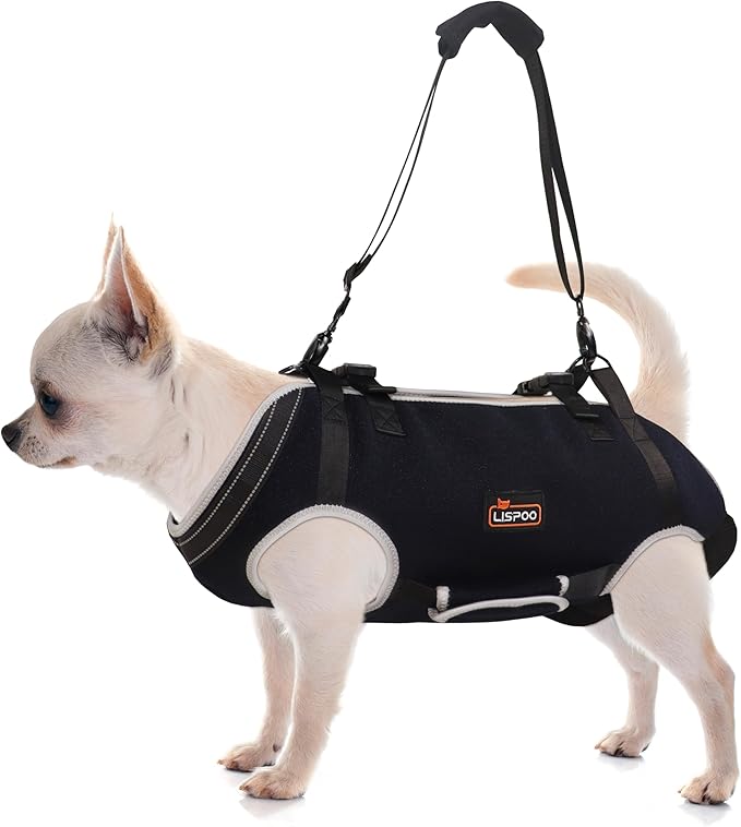 Dog Lift Harness, Full Body Dog Lift Harness, Lift Harness for Senior/Small/Medium Dogs, Disabled, Joint Injuries, Arthritis, Loss of Stability Dogs Walk
