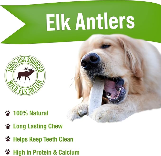Buck Bone Organics Dog Chews, Elk Antlers for Dogs, Long Lasting Dog Bones for Aggressive Chewers, All Natural, No Preservatives, Wild Shed in The USA (Large 2 Pack)