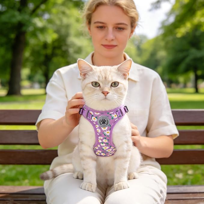 BEAUTYZOO Cat Harness and Leash Set for Walking Escape Proof, Neck Release Adjustable Harness for Kitten Puppy Small Medium Large Cats, Soft Cute Easy Control Small Cat Harness for Cats Boy and Girls