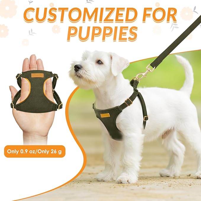 SlowTon Dog Harness Small Sized Dog - Soft XXS Dog Harness and Leash Set No Pull No Chock, Adjustable Lightweight Puppy Harness for XS Small Medium Dogs Cats (Solid Military Green, S)