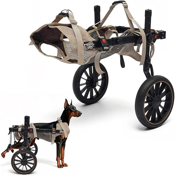 Adjustable Large Dog Wheelchair for Hind Legs | Rehabilitation Walking Aid with Harness & Large Wheels for Disabled & Senior Dogs, Up to 65kg/143lbs