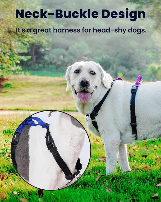 Non-Restrictive Dog Harness, Easy Walk Freedom No Pull Harness, Keep Balance, Neck-Buckle, Six Points Adjustment, 2 Leash Clips for Back and Front Clip (Orange/Black, X-Large)