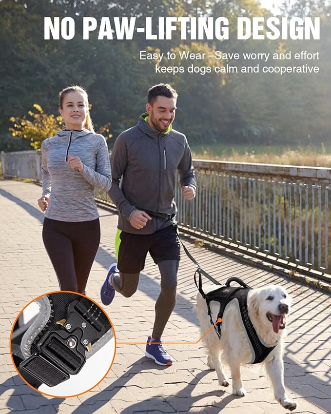 Dog Pulling Harness Set with Waist Belt & Shock-Absorbing Leash, Adjustable Sled Harness for Running, Hiking & Biking, Medium Large Dogs- L Size