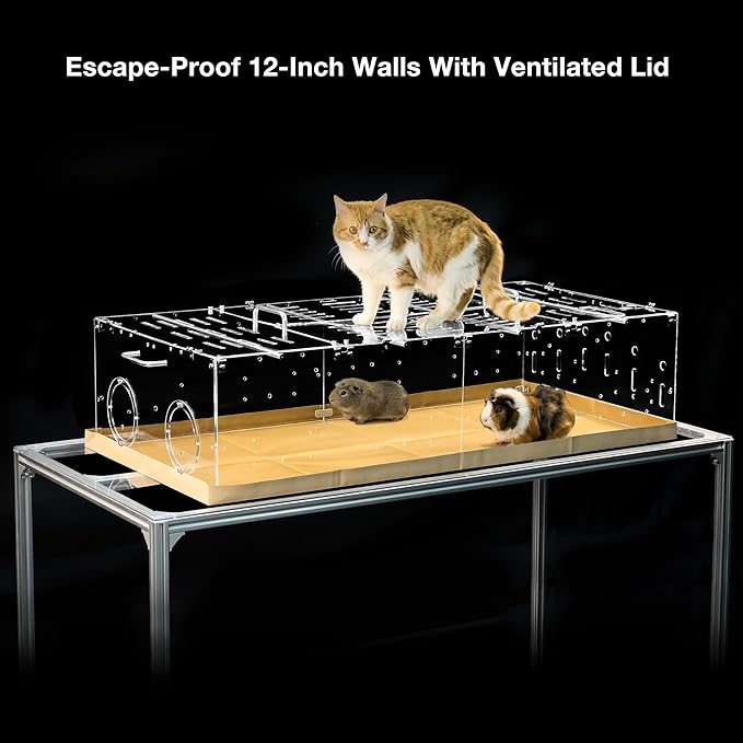 GuineaLoft™ Model-A1 Acrylic Cage with Crystal Clear Rooftop (48"x24"x12") - Protective Small Animal Habitat for Guinea Pigs, Rabbits & Hedgehogs - Includes Disposable Bottoms