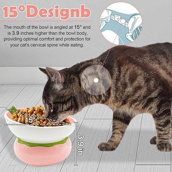 Hamiledyi Ceramic Raised Cat Bowls 15° Tilted Elevated Kitten Food Water Bowl Shallow Whisker Fatigue Kitty Dish Fruit Pet Feeding Bowls Feeder for Indoor Cats Small Dog (Pink Strawberry)