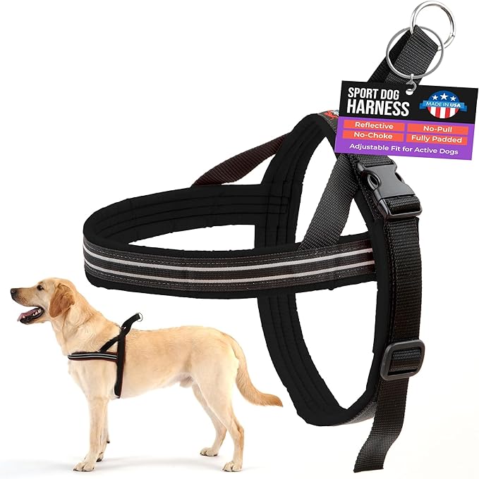 ComfortFlex Sport Dog Harness – No-Choke, Fully Padded, Non-Chafing Harness with Control Handle – Reflective, Lightweight, Adjustable for Active Dogs - Small, Raven Black