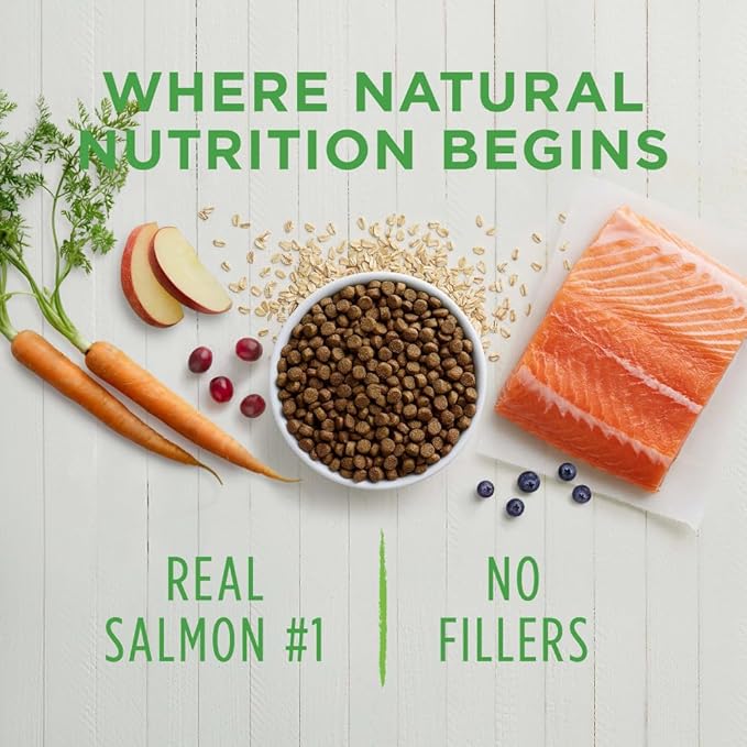 Instinct Be Natural, Natural Dry Dog Food, Raw Coated Kibble - Real Salmon & Brown Rice, 24 lb. Bag