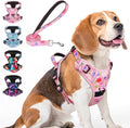 BEAUTYZOO No Pull Dog Harness and Leash Set with 2 Metal Leash Clips - Overhead-Free 3 Snap Buckles Design, Adjustable No-Choke Soft Padded Reflective Oxford Pet Vest for Small Medium Large Dogs, M