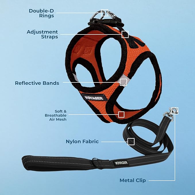 Best Pet Supplies Voyager Step-in Air All Weather Mesh Harness and Reflective Dog 5ft Leash Combo with Neoprene Handle, for Small, Medium and Large Breed Puppies - Set (Orange/Black Trim), X-Small