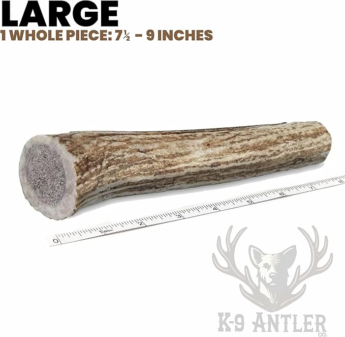 Deer Antlers for Dogs – Large Whole (7.5-9 Inch), Durable Chew for Aggressive Chewers, Naturally Shed in The Wild, Responsibly Gathered in The USA