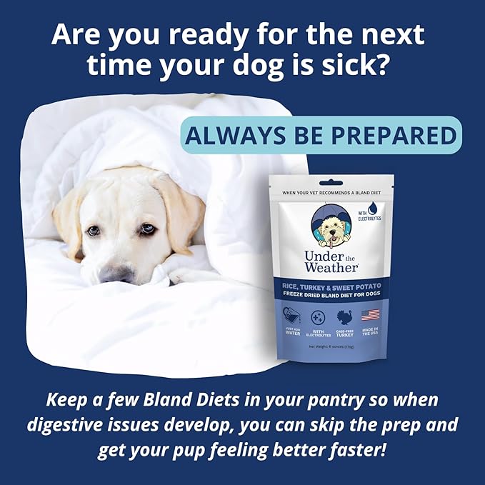 Under the Weather Bland Diet for Dogs | Easy to Digest for Sick Dogs |Always Be Ready| Contains Electrolytes - All Natural Freeze Dried 100% Human Grade Meats| 2 Pack- Rice Turkey & Sweet Potato - 6oz