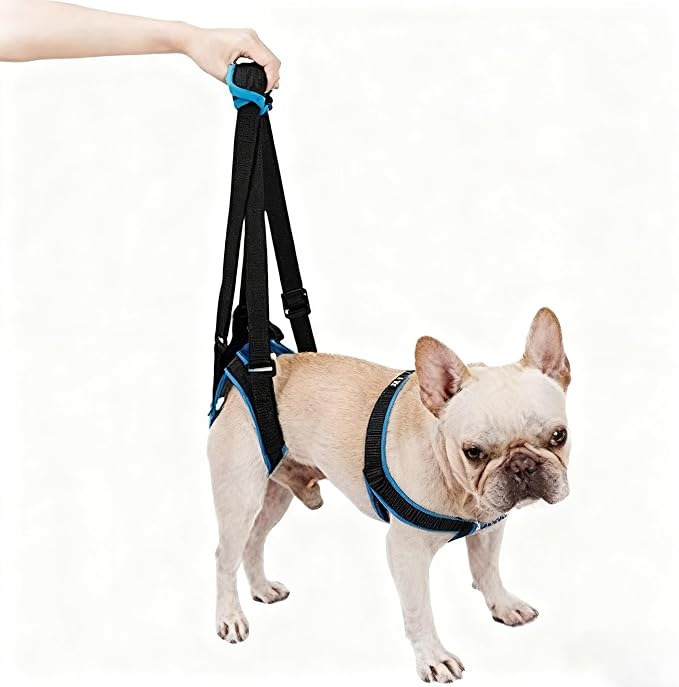 Rear Leg Lift Harness for Dogs—Hip Support Sling with Adjustable Straps, Quick-Release Buckle & Anti-Slip Hook (L/XL), Helps Senior Dogs Climb Stairs, Walk & Get in Cars(S)