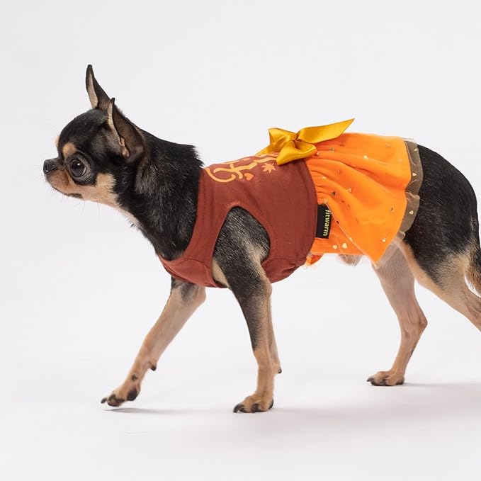 Fitwarm Thanksgiving Fall in Love Dog Dress, Sparkly Dog Clothes for Small Dogs Girl, Holiday Pet Tutu Dress, Cat Outfit, Brown, Orange, XXS
