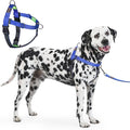 Freedom No Pull Dog Harness for Large Dogs, Front Clip, Easy Walker, Anti Pull with Two Stainless D-Rings, Comfortable, Sewn-in Instructions Tags for Easy Use (Blue, XXL)