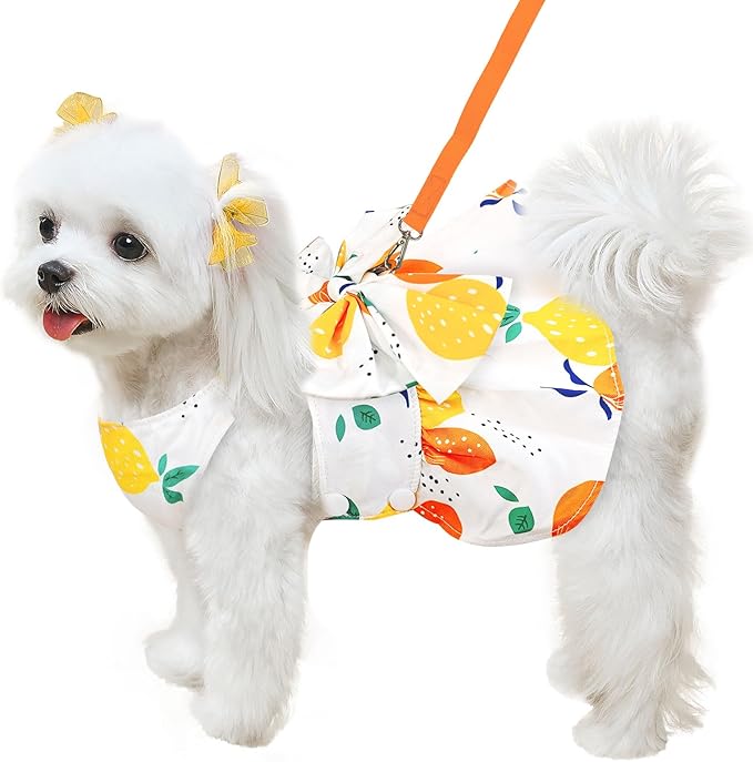 ABRRLO Cute Dog Dress Small Dog Clothes for Girls Female Puppy Outfits Yellow Lemon Pet Summer Clothes Bowknot Doggy Cat Princess Dress Harness for Holiday Birthday Party Costume Clothing (Yellow,S)