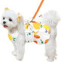 ABRRLO Cute Dog Dress Small Dog Clothes for Girls Female Puppy Outfits Yellow Lemon Pet Summer Clothes Bowknot Doggy Cat Princess Dress Harness for Holiday Birthday Party Costume Clothing (Yellow,XL)