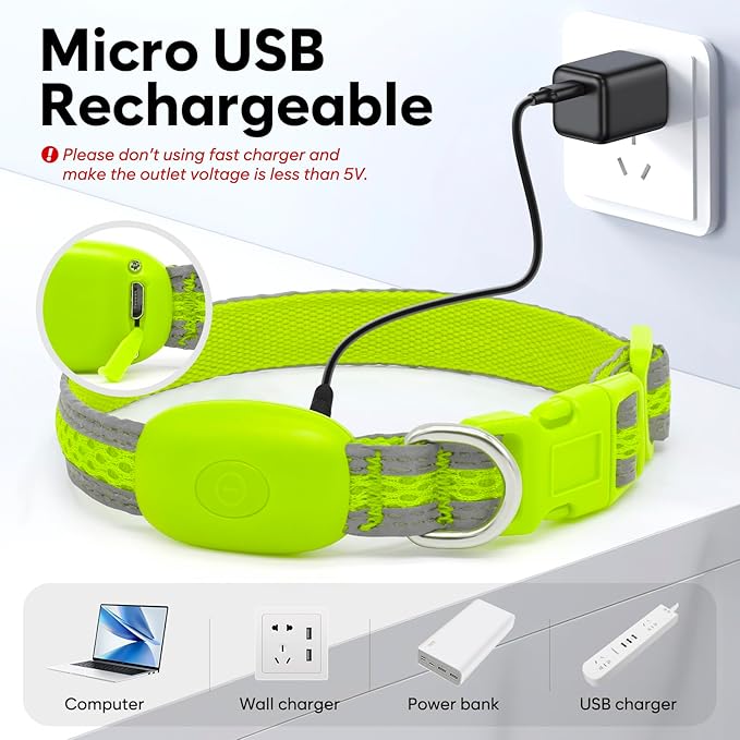 Flashseen LED Dog Collar, Light Up Dog Collar USB Rechargeable, Brightest Dog Lights for Night Walking, Adjustable Dog Collar Light for Dog Safety (Green, X-Small)