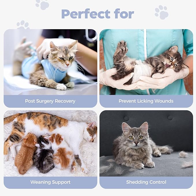 Avont Cat Recovery Suit Female Kitten After Spay Surgery, Breathable Modal Cotton Cat Onesie for Wound & Skin Disease Care, Machine Washable -Purple(L)