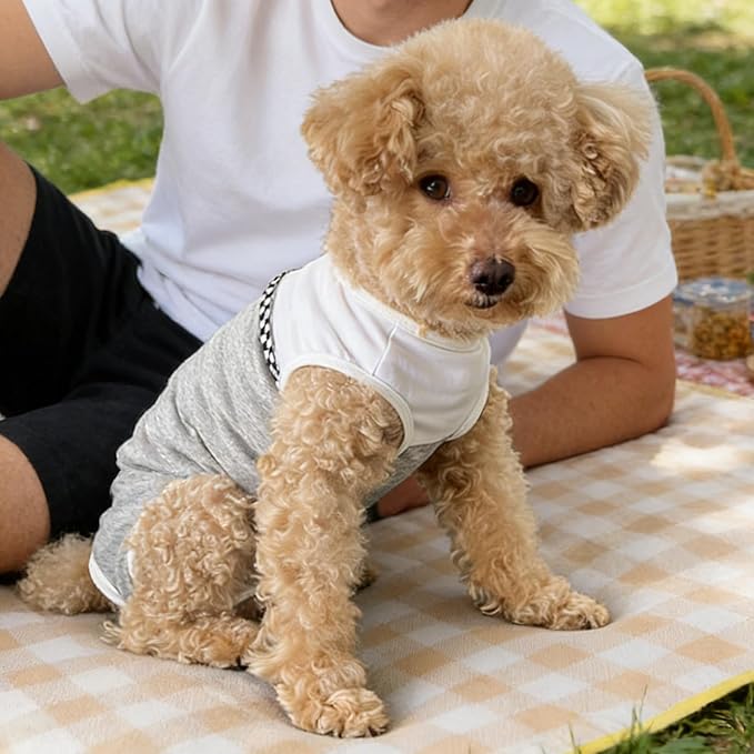 Kukaster Pet Dog Surgical Suit - Recovery Onesie for Dogs After Surgery, Spayed Female/Male Puppy, Breathable Anti-Lick Clothes, Alternative to Cone(Grey and White-XL)