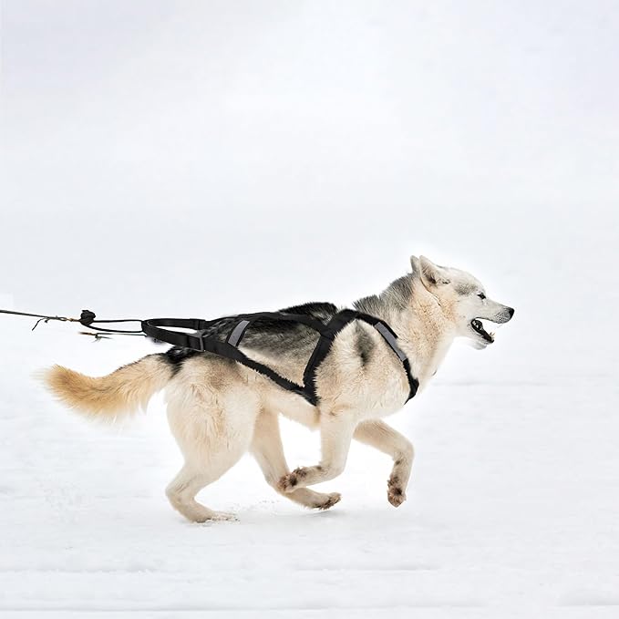 Dog Pulling Harness (L, Black) X Back Mushing Husky Harness for Sled Exercise, Pet Sledding, Bikejoring, Skijoring, Running, Canicross Scootering, for Average Sized Dog About 45-50LBS
