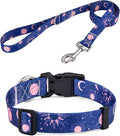 Dog Collar and Leash Set for Small Dogs Cats, Soft Comfy Pet Collar for Small Medium Large Dogs, Universe Pattern for Boy Girl Puppy Dogs Cats(Universe Set,XS)