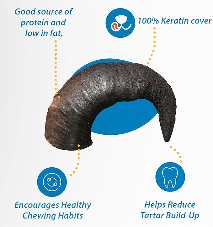 123 Treats Buffalo Horns for Dogs – (3 Count), Small 5-7 inches, Long Lasting Dog Treats for Aggressive Chewers, 100% Natural, Rich in Protein & Low in Fat, Support Dental Health
