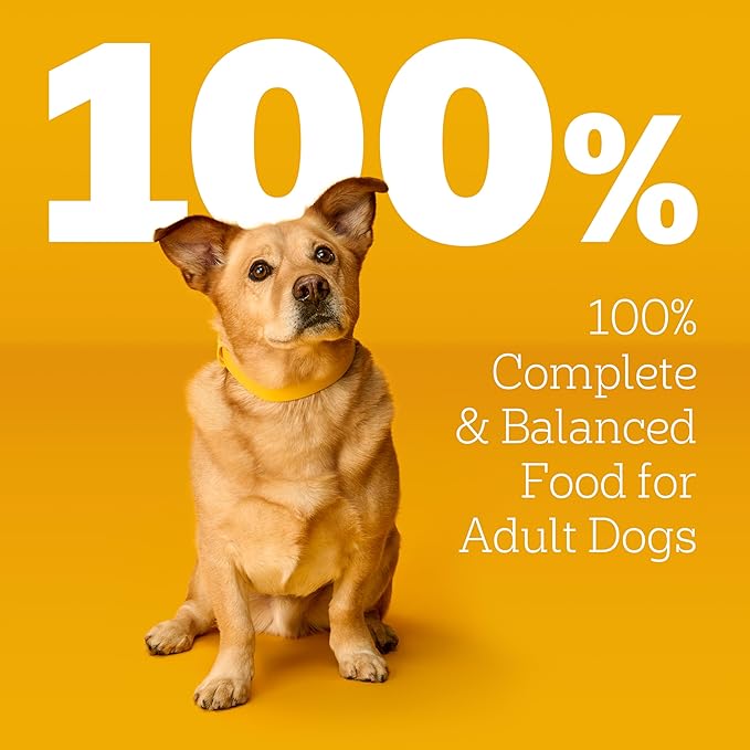 Pedigree Choice Cuts in Gravy Wet Dog Food, Adult Soft Wet Dog Food, Variety Pack, 3.5 oz. Pouches, 8 Count (Pack of 2)