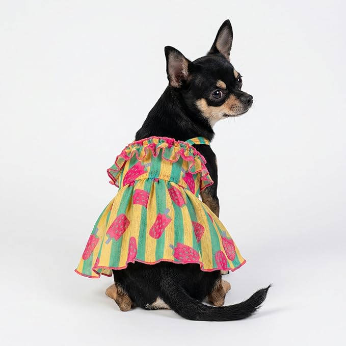 Fitwarm Strawberry Ice Pop Dog Dress, Striped Summer Dog Clothes for Small Dogs Girl, Pet Outfit, Green, Yellow, Light Pink, XS