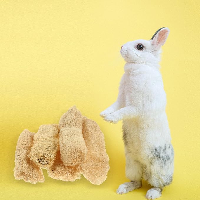 TEHAUX Natural Loofah Chewing Toys 5-Pack for Small Animals Tooth Cleaning and Fur Scrubbing Bath Tools for Guinea Pigs Hamsters Rabbits Safe Teeth Grinding