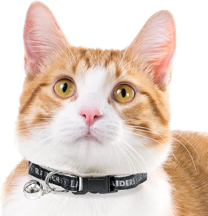 NFL CAT Collar Las Vegas Raiders Satin Cat Collar Football Team Collar for Dogs & Cats. A Shiny & Colorful Cat Collar with Ringing Bell Pendant