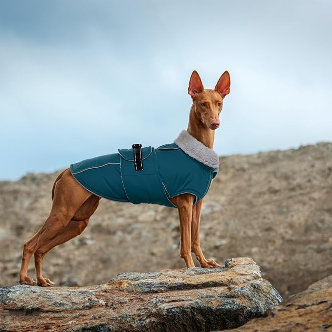 Lelepet Warm Dog Coats for Medium Dogs Waterproof Dog Winter Jacket Reflective Pet Fleece Vest Windproof Cold Weather Coats with Adjustable Buckle & Leash Hole, Dark Green, M