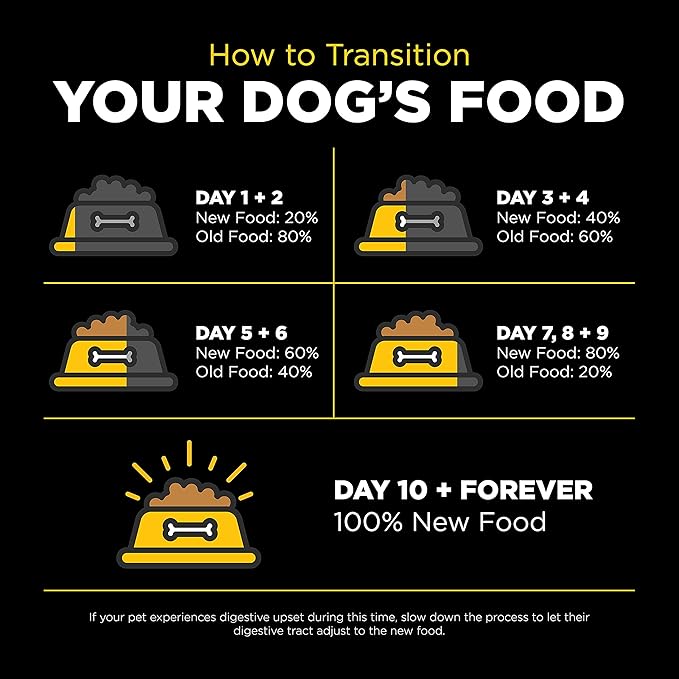 Go! Solutions Skin + Coat Care Duck Dry Dog Food with Grains, Chicken-Free, Healthy Kibble with Omega-3s & 6s for Soft, Shiny Fur, for Puppies, Adults, & Seniors, 22 lb Bag