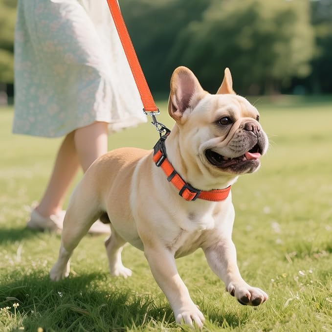 Joytale Dog Collar,Soft Neoprene Padded Breathable Nylon Pet Collar Adjustable for Small Dogs,Orange,S