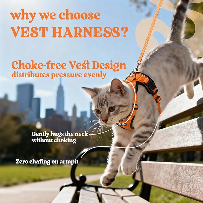 rabbitgoo Cat Harness and Leash for Walking, Escape Proof Soft Adjustable Vest Harnesses for Cats, Easy Control Breathable Reflective Strips Jacket, Orange, XXS