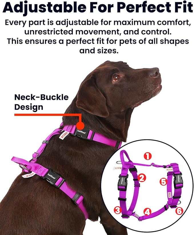 Non Restrictive Dog Harness, Easy Walk Freedom No Pull Harness, Keep Balance, Neck Buckle, 2 Leash Clips for Back/Front Clip, Sewn-in Instructions Labels for Easy Put On/Off (Purple, XLarge)