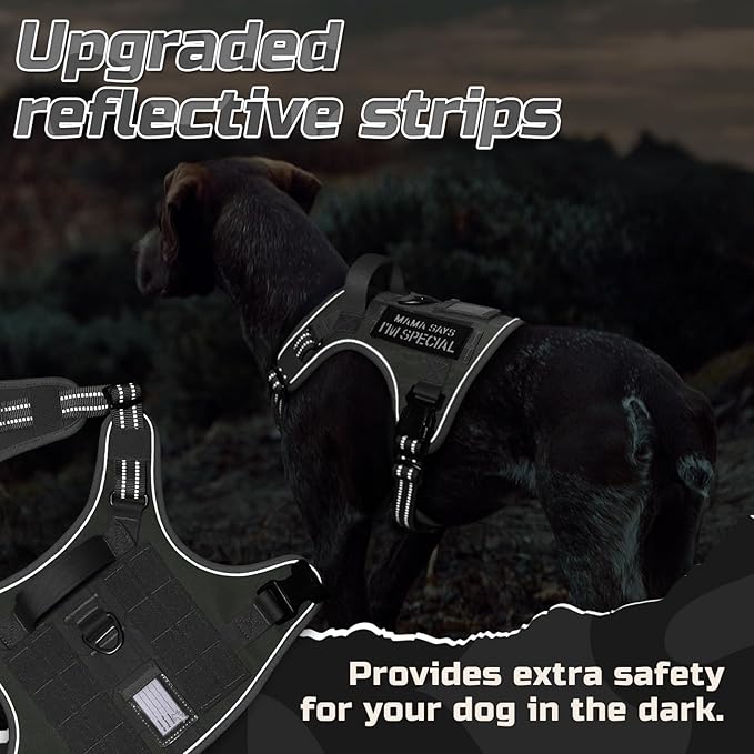 rabbitgoo Tactical Dog Harness for Large Dogs, No Pull Military Service Vest with Handle & Molle, Easy Control for Training Walking, Adjustable Reflective Straps, Dark Grey, L