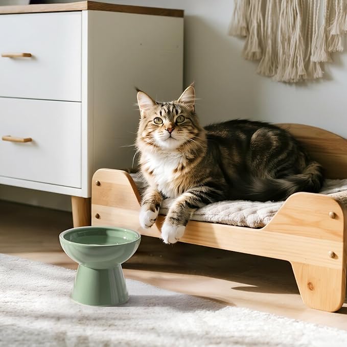 CEEFU Extra Wide Elevated Ceramic Cat Water Bowl - 6.2" Deeper Dish for Whisker Fatigue Relief, 5" Height for Easy Feeding, Lead & Cadmium Free, Durable Raised Cat Bowls, Green