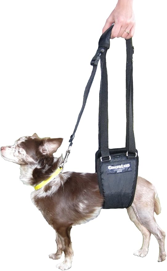 GINGERLEAD Dog Sling Hip Support Harness, SM Male fits Small to Medium Size Pets or Larger Barrel Chested Dogs Like Boxers or Bullies. Male Dachshunds use X-Small Size. Made in U.S.A.