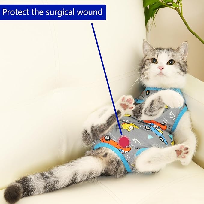 kzrfojy Cat Recovery Suit Cat Onesie for Cats After Surgery Female Male Spay Kitten Neuter Surgical Bodysuit Post Surgery Cone of Shame Alternative Anti Licking (Gray, Small)